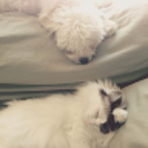 Meet your Posher, Brigitte